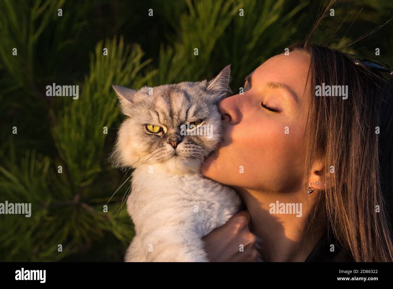 Cute girl kisses her lovely funny grumpy cat. Cat with owner. Love for cats. Naughty cat owner. Cat get angry when owner kisses him. Stock Photo