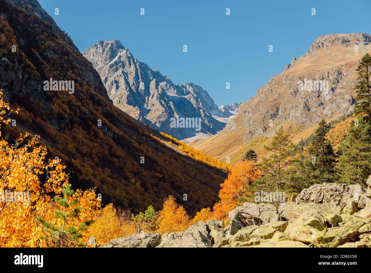 Rocky mountains and autumnal forest in Europe. High mountain landscape ...
