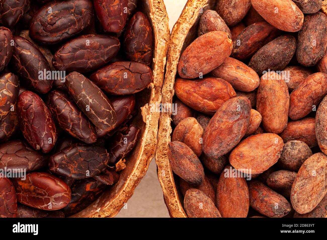 Detail of roasted and unpeeled cocoa beans in a pod on beige background. Stock Photo