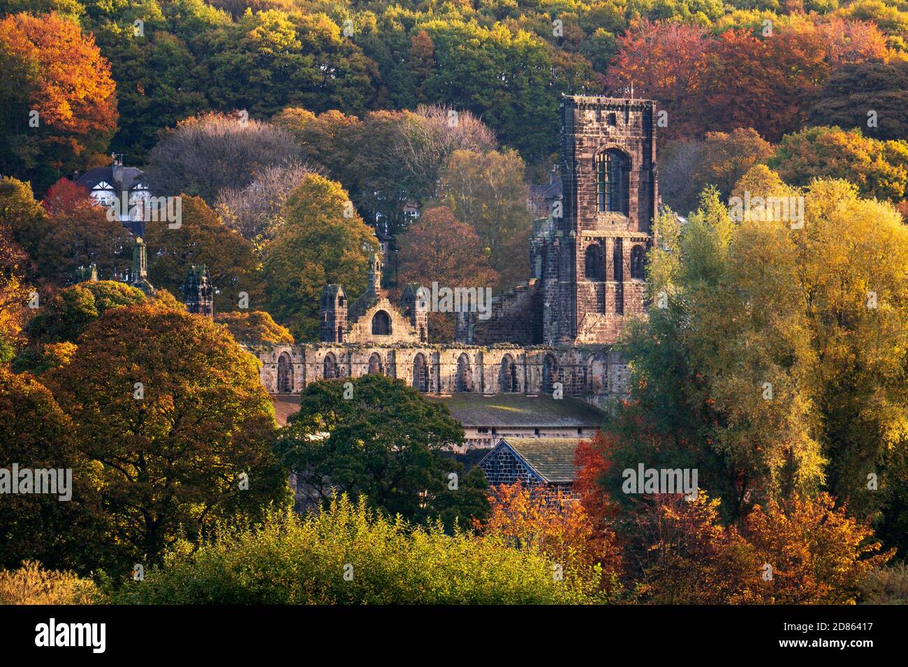 The rich autumn foliage surrounding the ruined tower of Kirkstall Abbey glows as early morning light illuminates the October scene. Stock Photo