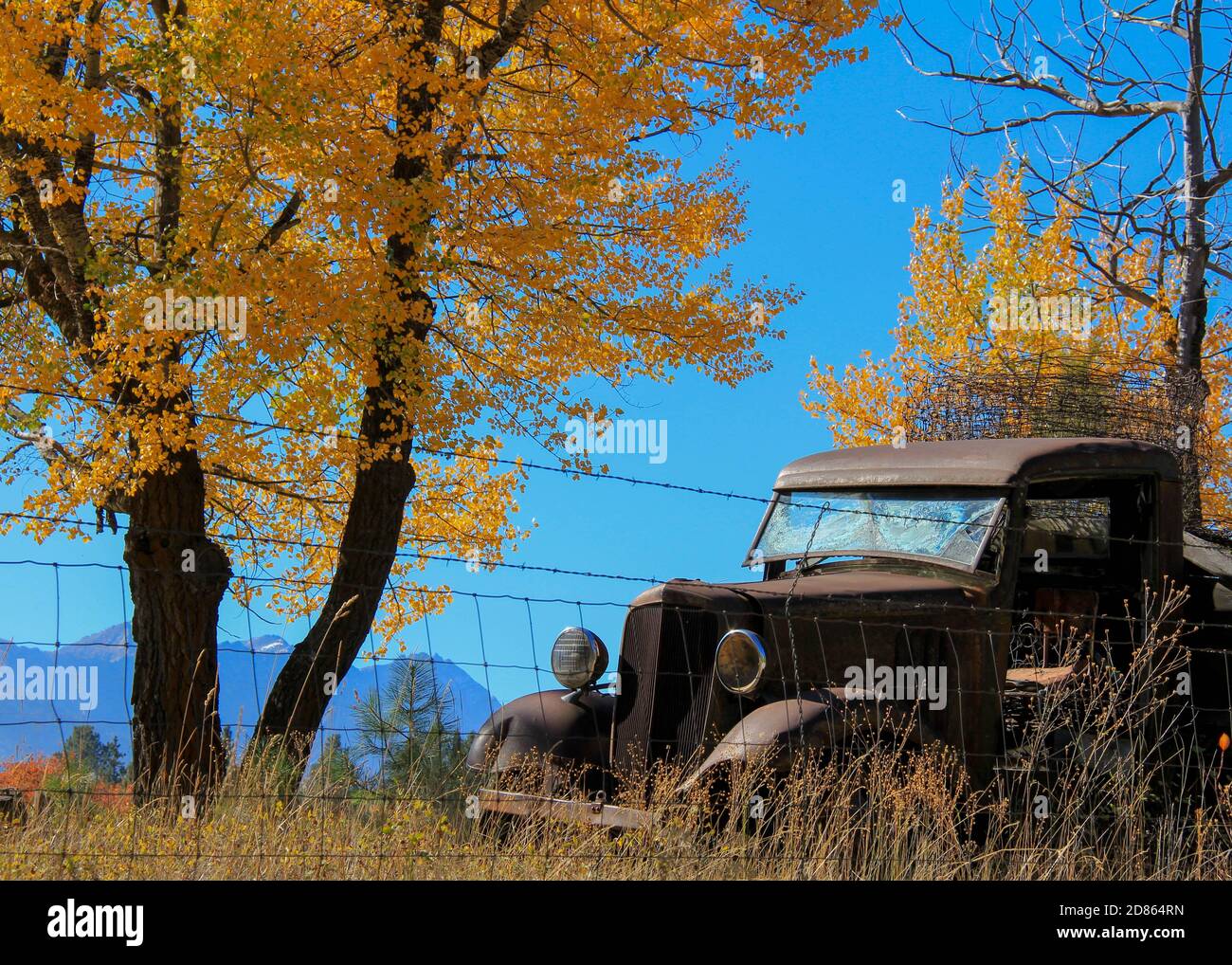 Old Pick Up Truck Stock Photo - Alamy