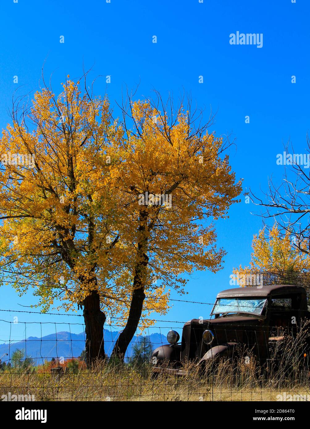 Old Pick Up Truck Stock Photo