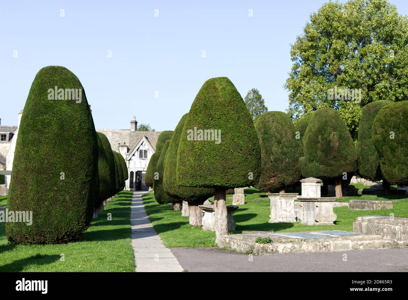 Topiary Yew Trees of St Marys church in Painswick, Cotswolds Stock Photo