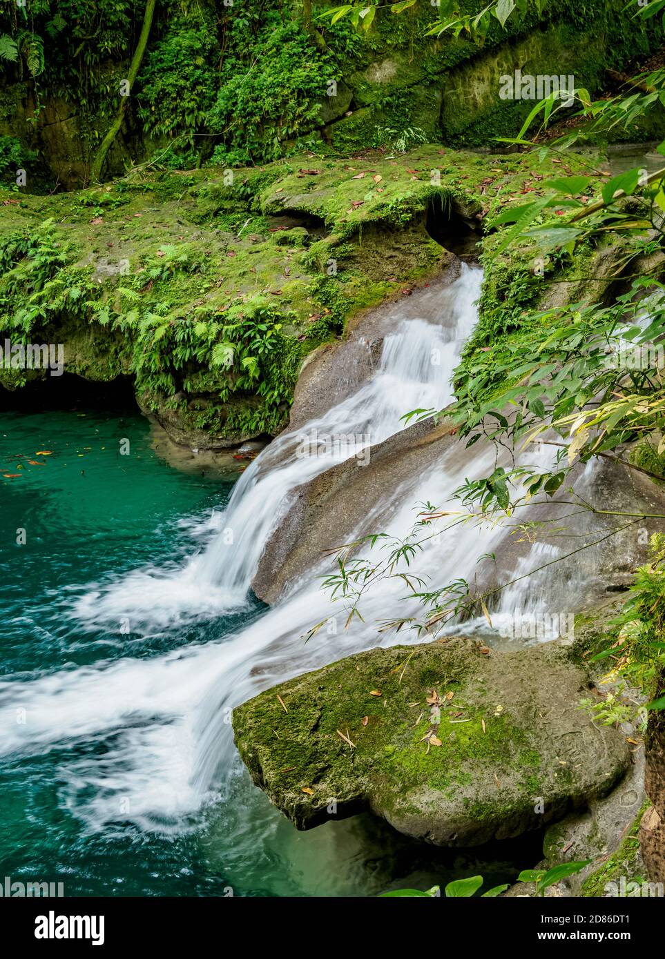 Reach Falls, Portland Parish, Jamaica Stock Photo