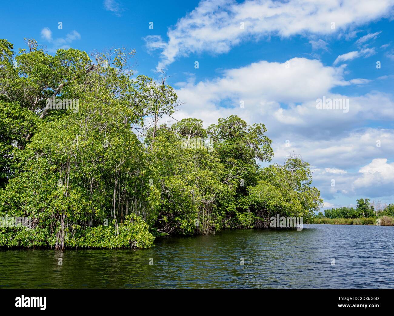 Black river st elizabeth jamaica hires stock photography and images
