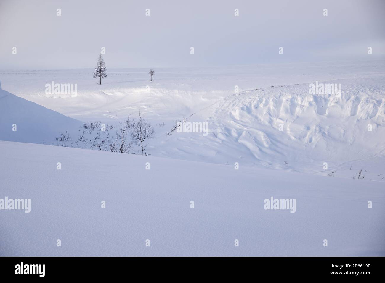 Snow white covered tundra landscape, Yamalo-Nenets Autonomous Okrug, Russia Stock Photo