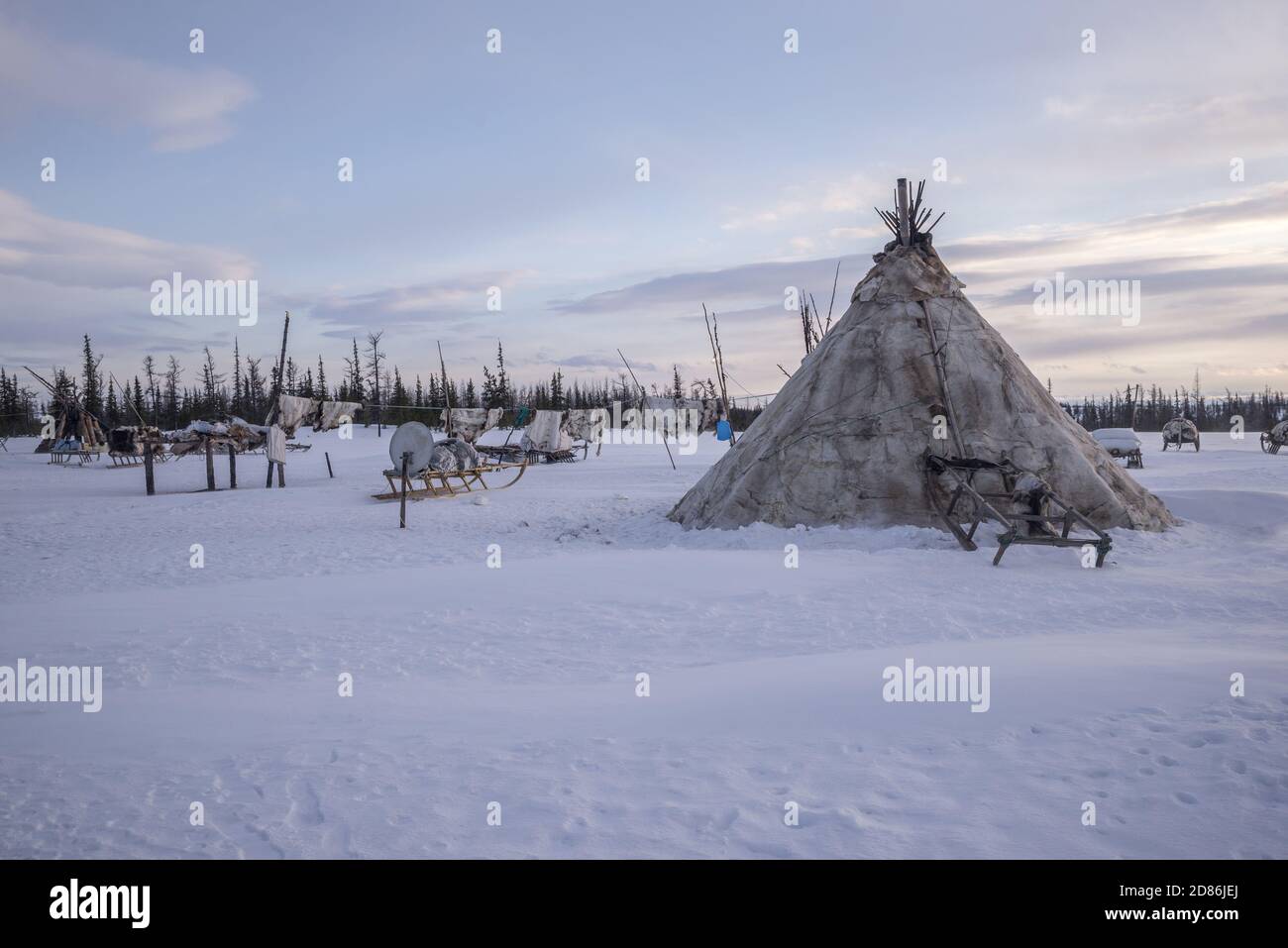 Chums (traditional tents) and sleds in a Nenet stoybishe (camp), Yamalo ...