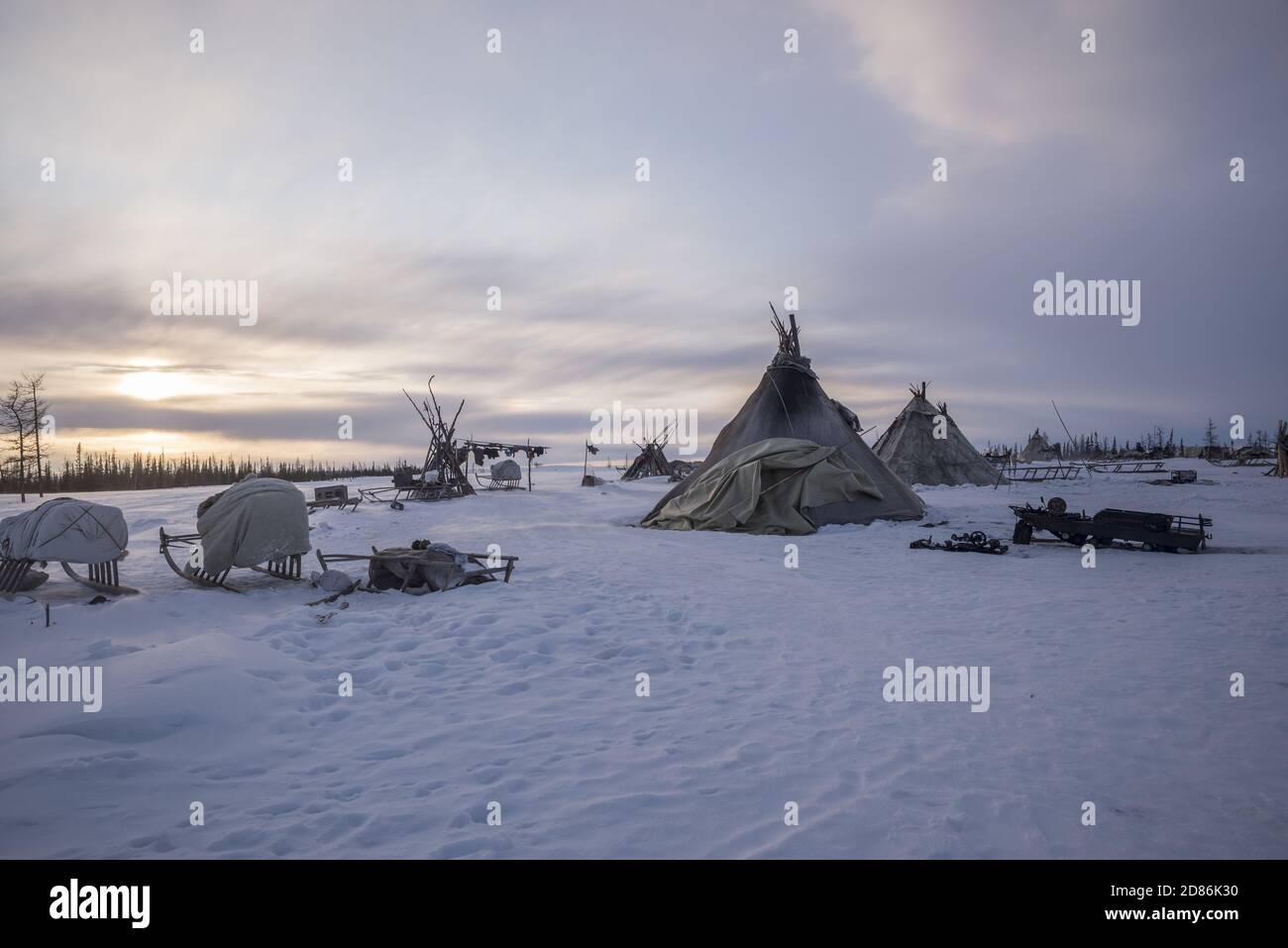 Chums (traditional tents) and sleds in a Nenet stoybishe (camp), Yamalo-Nenets Autonomous Okrug, Russia Stock Photo