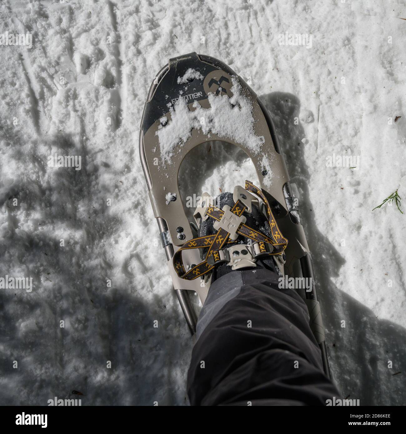 Boot strapped into a snowboard, Dog Mountain Snowshoe Trail, Mount