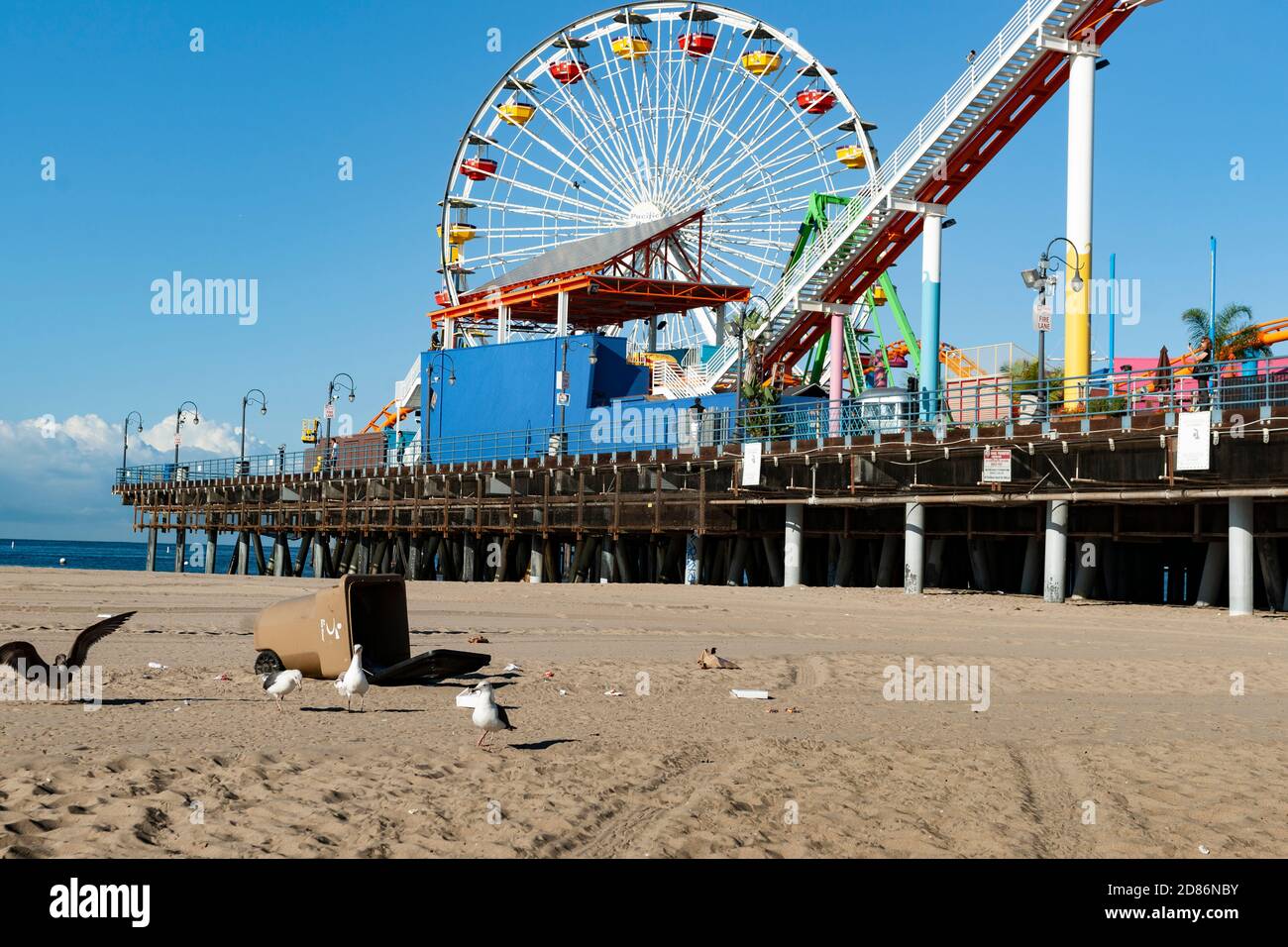 Los Angeles USA  October 6 2015; Seaguls scavenge around upturned trash bin on beach below famous Santa Monica ferris wheel. Stock Photo