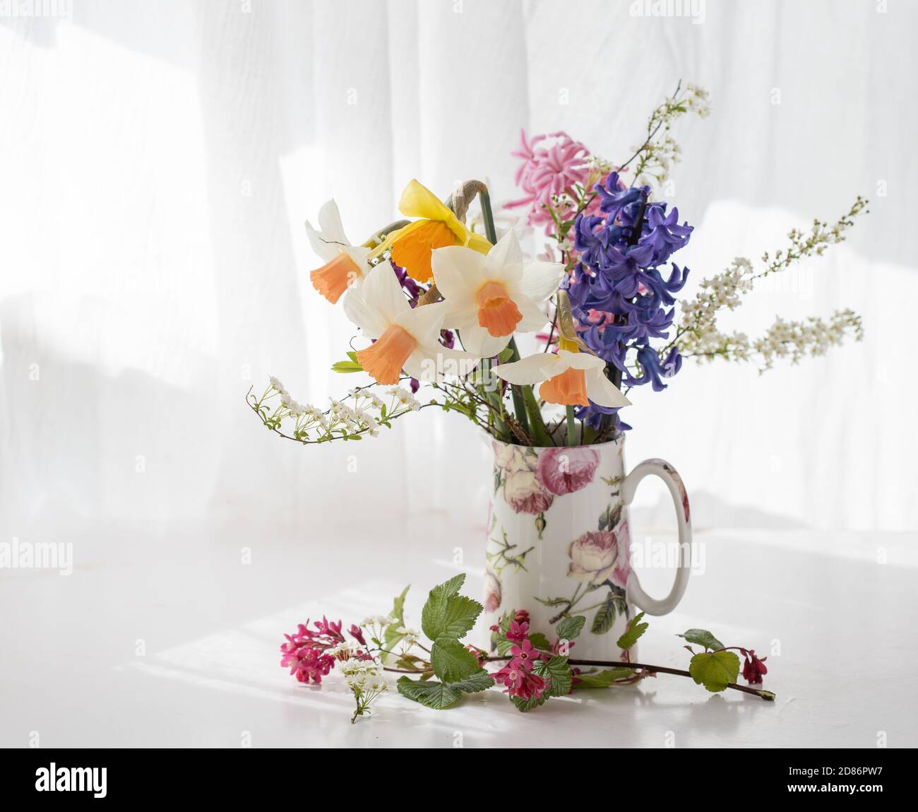 Studio flowers photograph Stock Photo