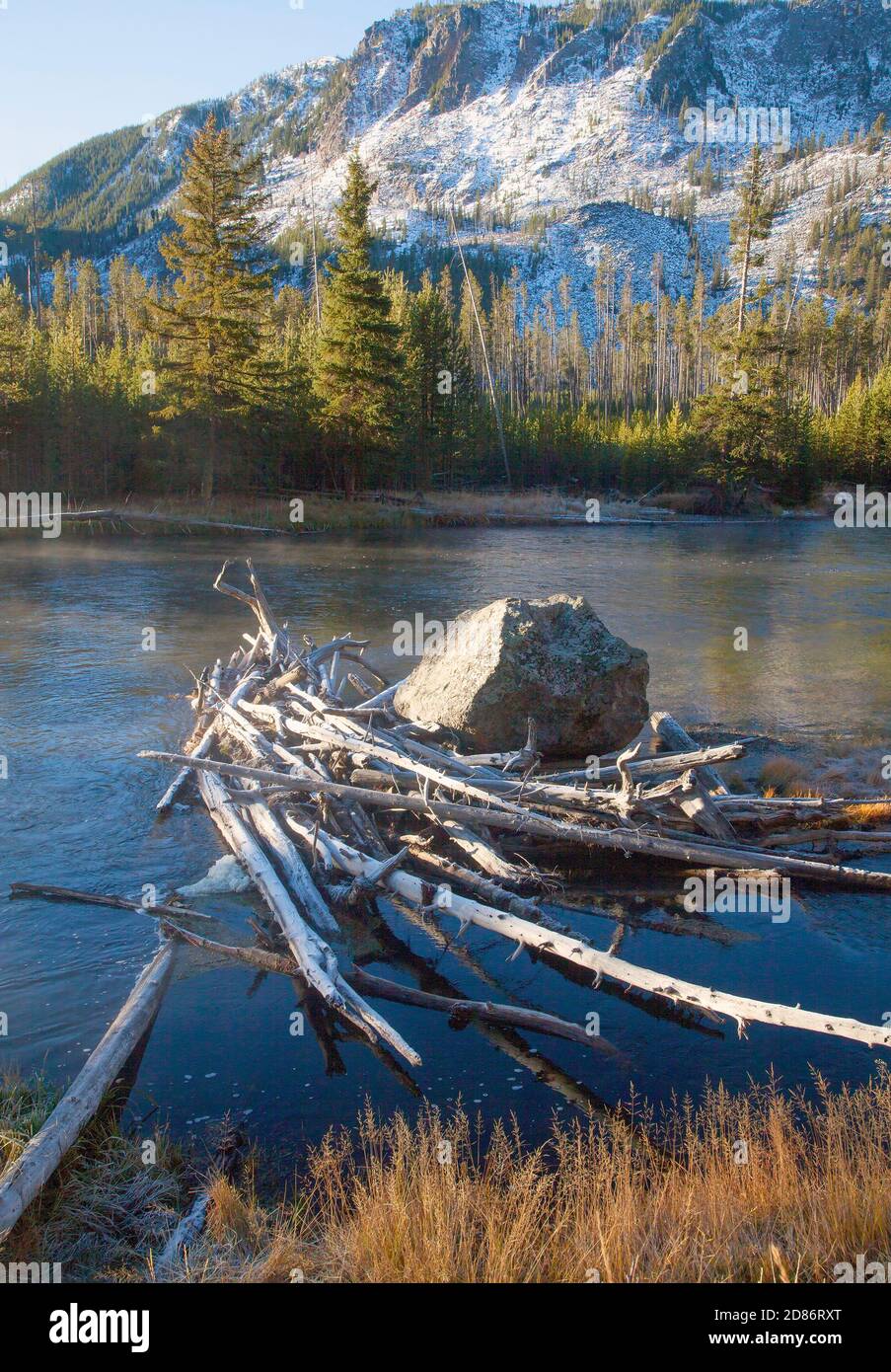 Boulder in Madison River, Yellowstone Park, US., fall, 2020. Stock Photo