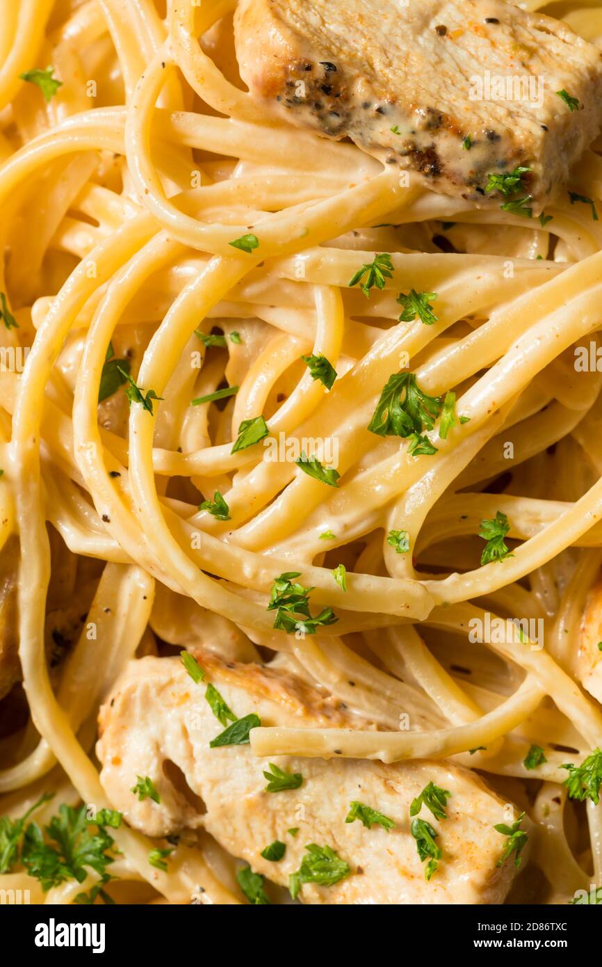 Homemade Chicken Fettuccine Alfredo Pasta Ready to Eat Stock Photo Alamy