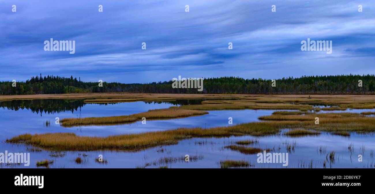 Evening scene of a quiet lake in Hamra NP, Sweden during the blue hour just after sunset Stock Photo
