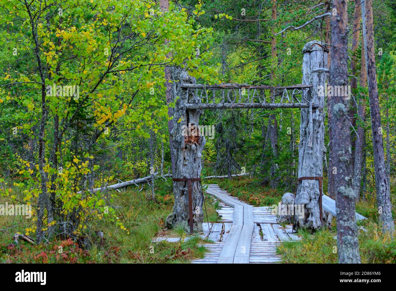 Wooden gate and boardwalk in an autumn forest in Hamra National Park, Sweden Stock Photo