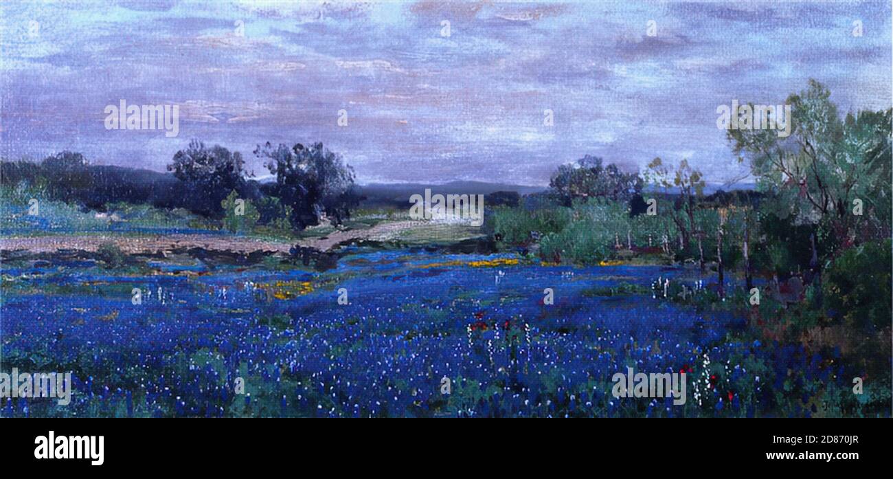 Julian Onderdonk Bluebonnets At Twilight Stock Photo Alamy