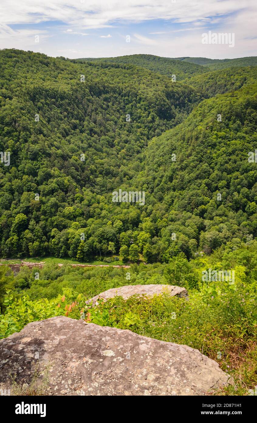 Pine Creek Stock Photo Alamy