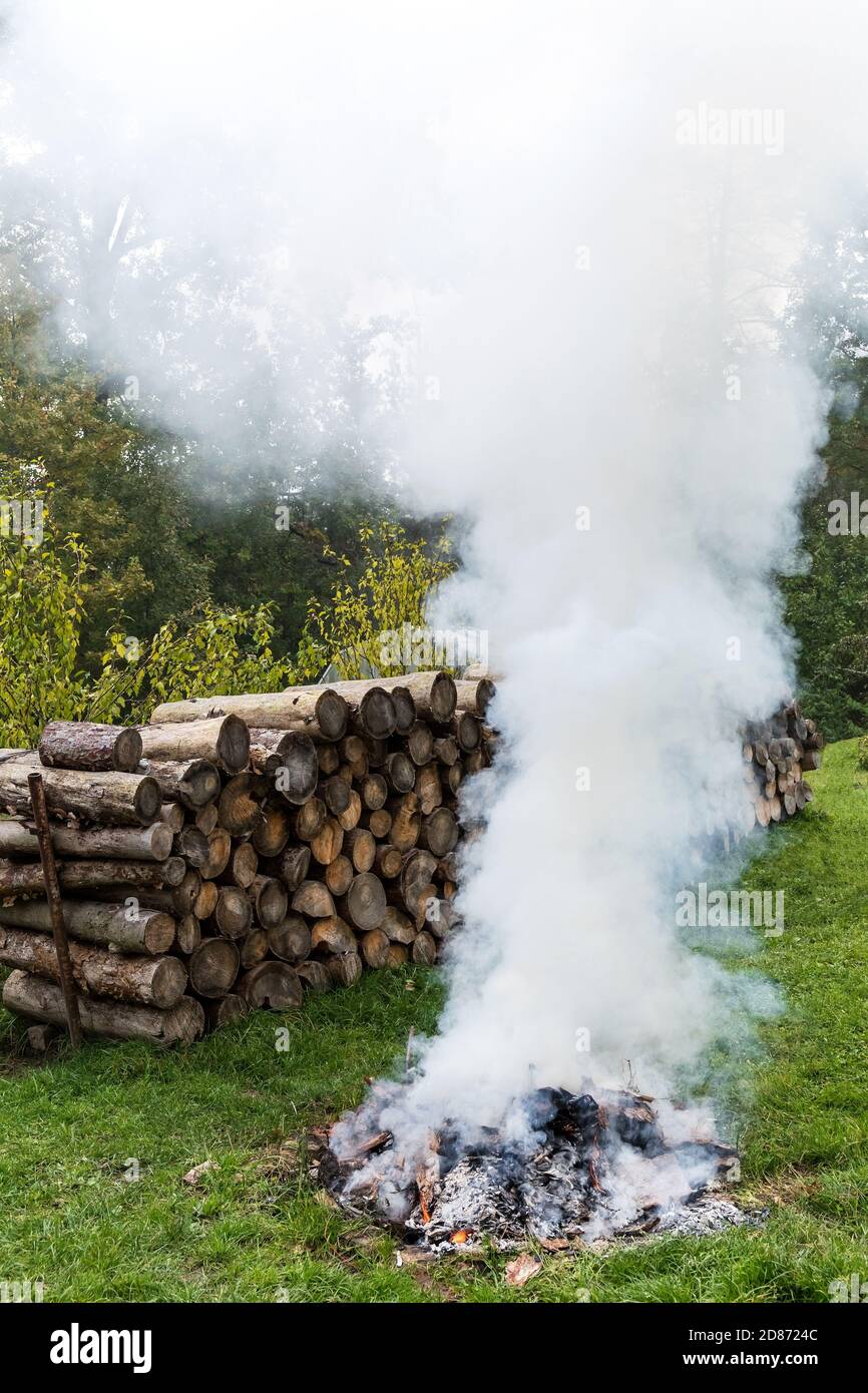 Burning tree bark. Outdoor fireplace. Disposal of bark beetles. Work on