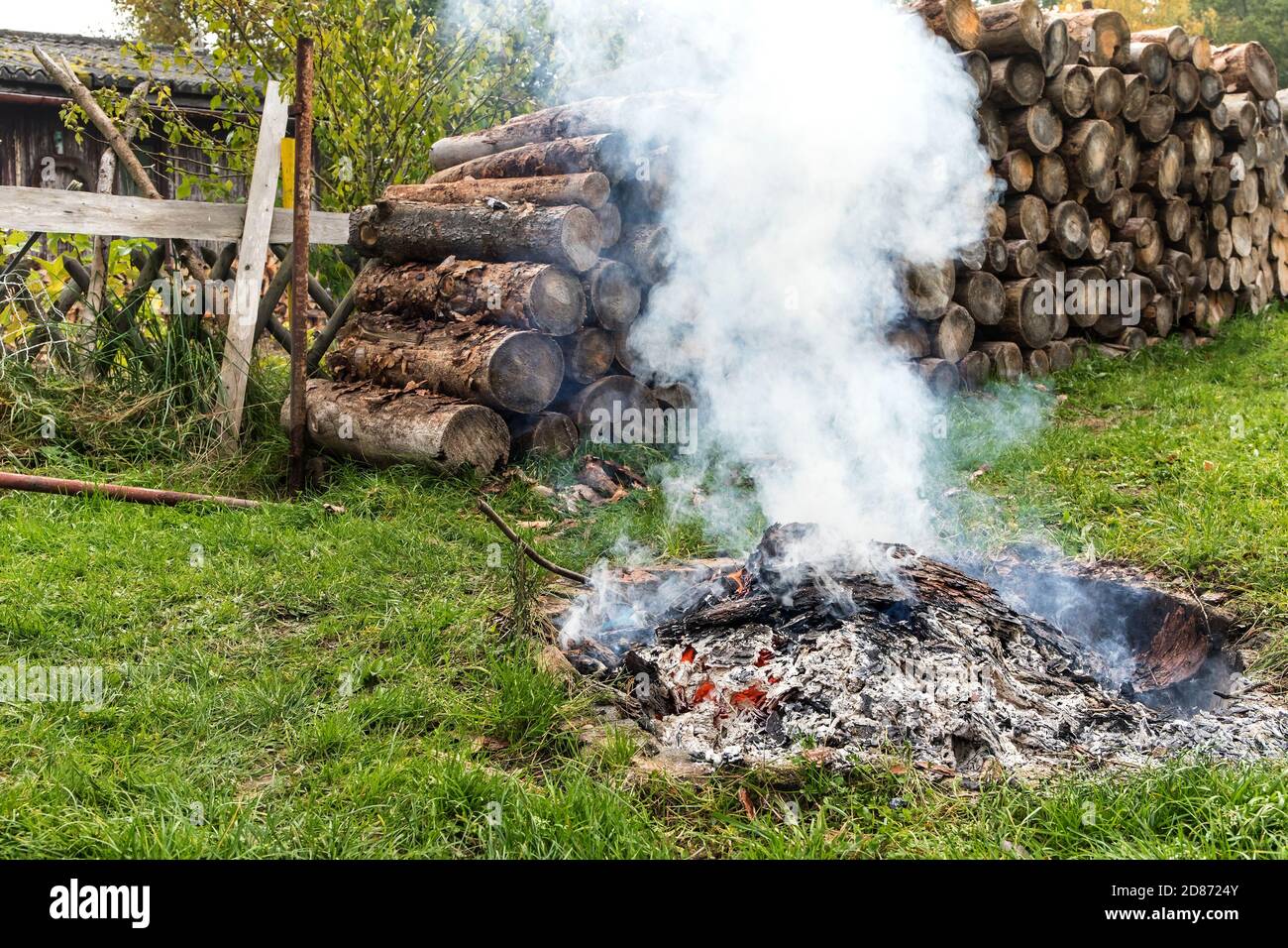 Burning tree bark. Outdoor fireplace. Disposal of bark beetles. Work on