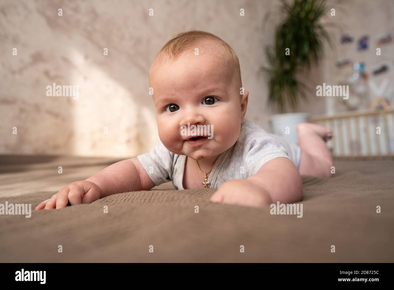 Cute three months old Baby girl infant on a bed on her belly with head up looking into camera with her big eyes. Natural bedroom light. Stock Photo