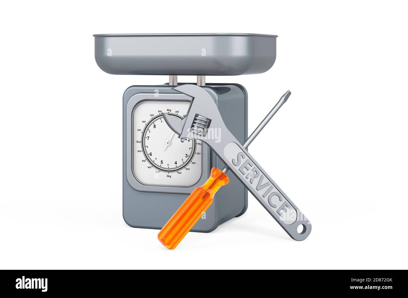 Scale Service Vector Repair and service of kitchen scales, 3D rendering isolated on white ...