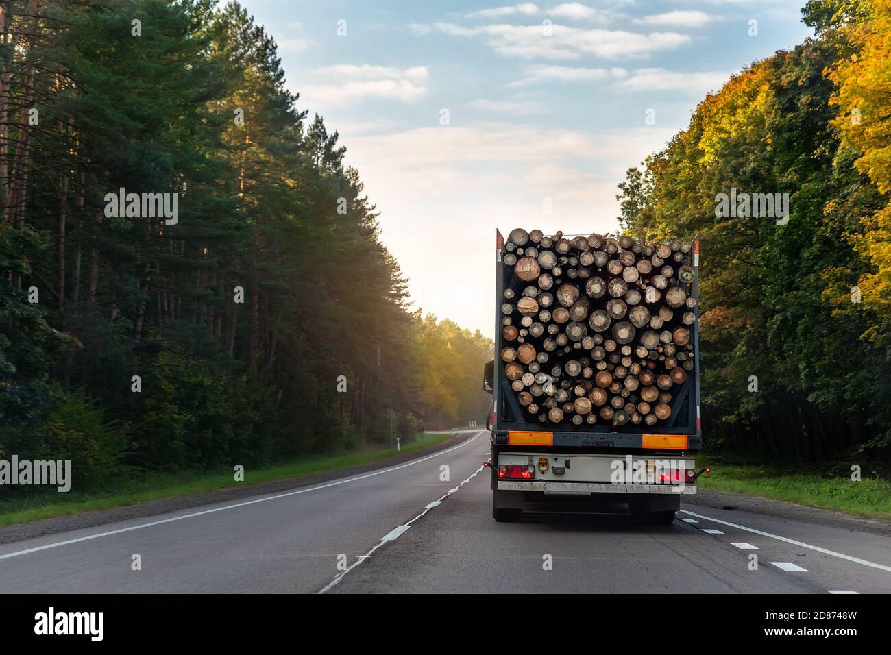 back view of long heavy industrial wood carrier cargo vessel truck