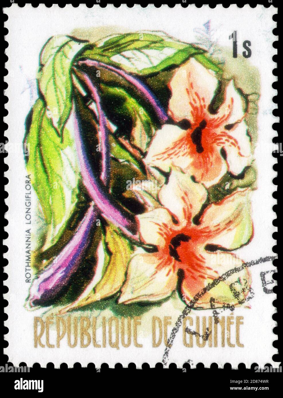 Saint Petersburg, Russia - September 18, 2020: Stamp printed in the Guinea with the image of the Rothmannia longiflora, circa 1974 Stock Photo