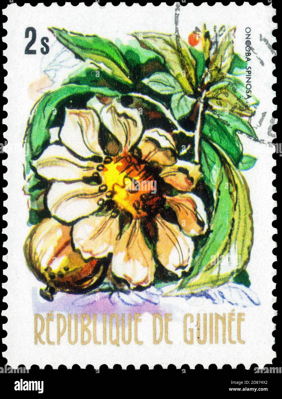 Saint Petersburg, Russia - September 18, 2020: Stamp printed in the Guinea with the image of the Fried Egg Tree, Oncoba spinosa, circa 1974 Stock Photo