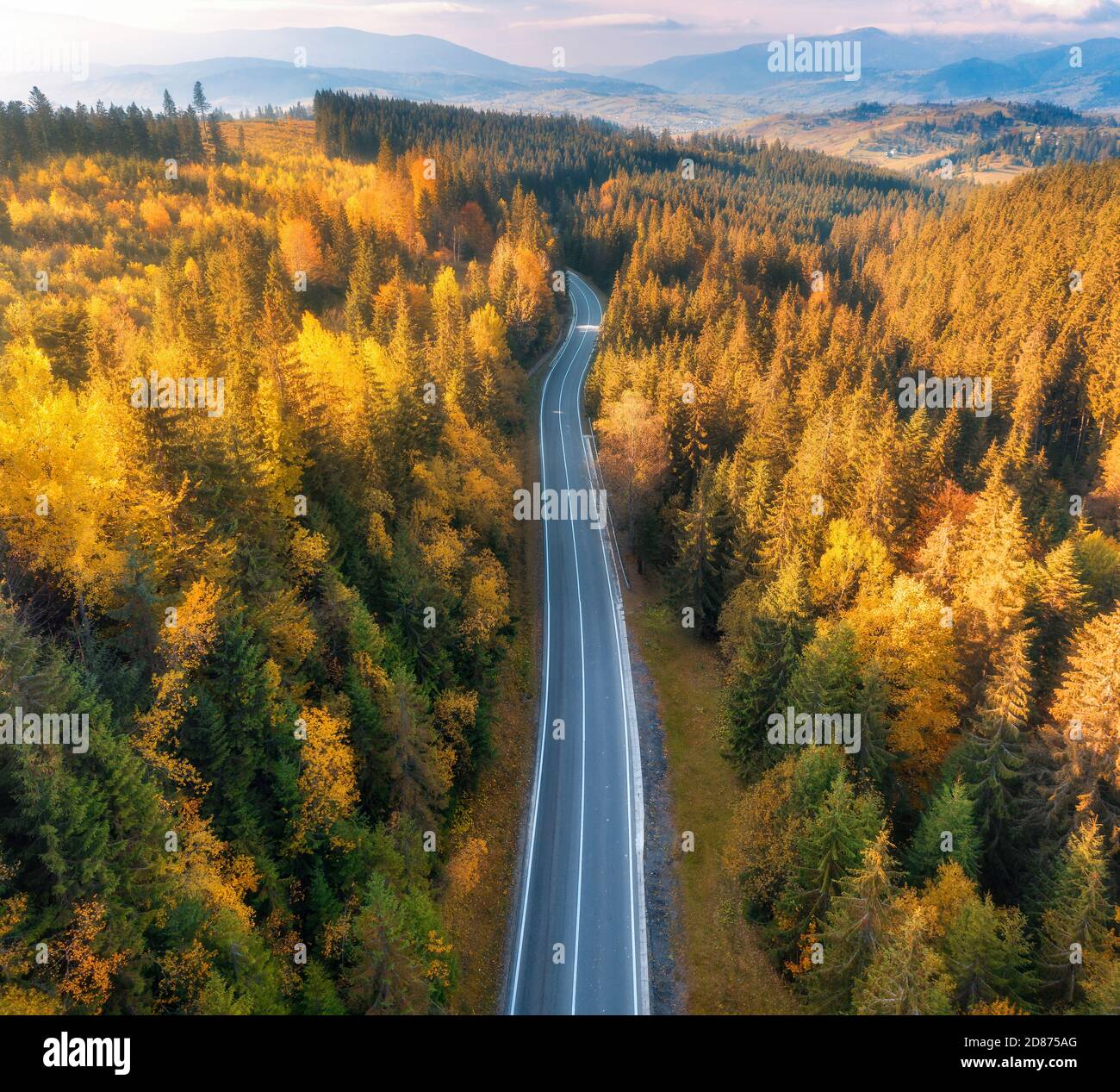 Aerial view of mountain road in forest at sunset in autumn Stock Photo ...