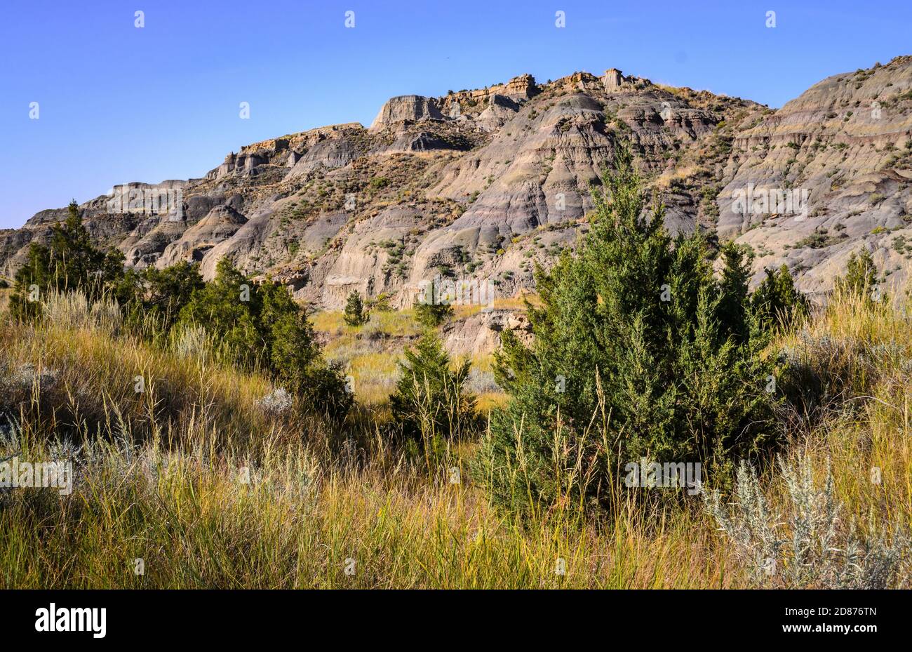 Makoshika State Park Stock Photo Alamy