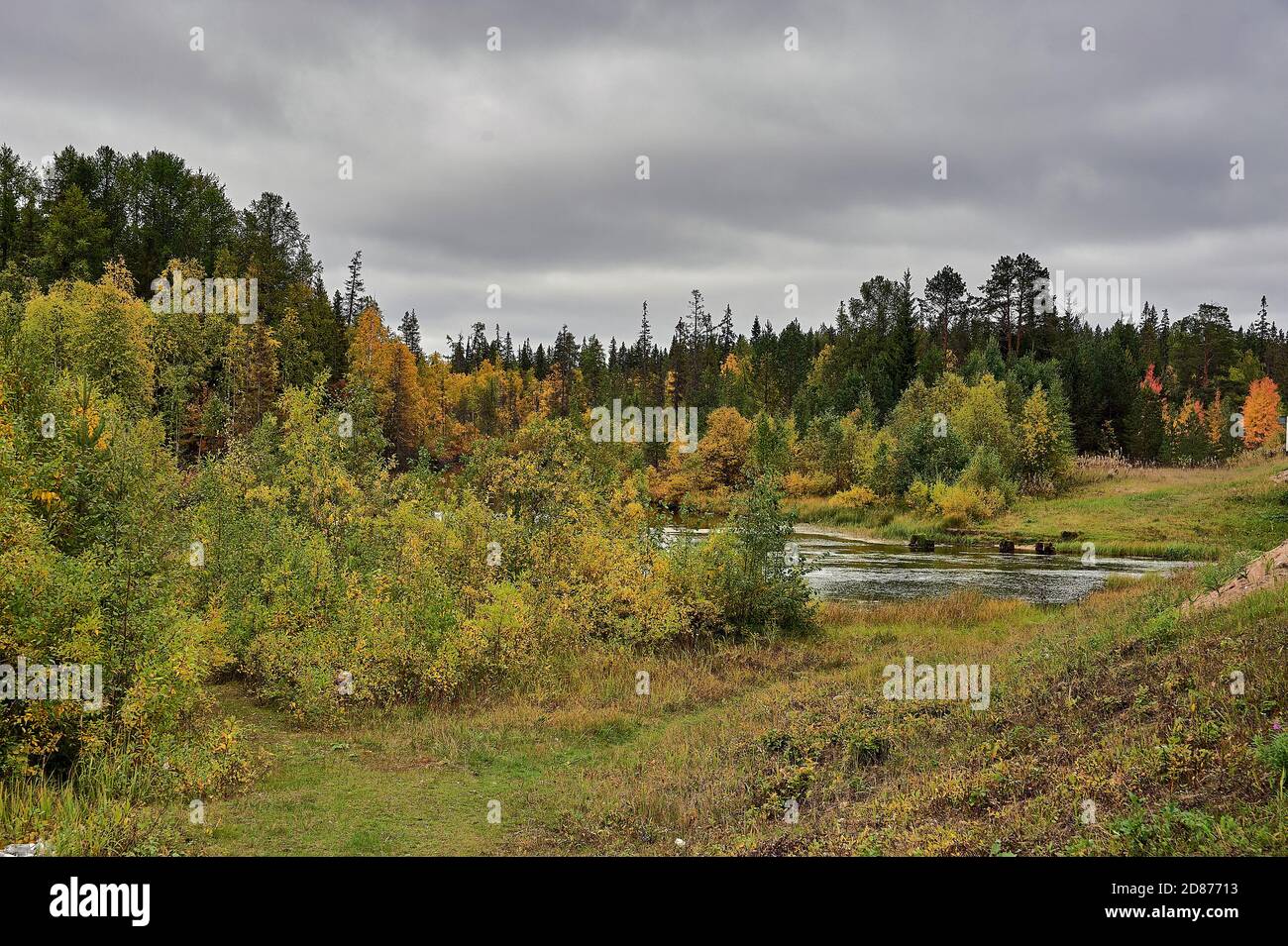 Forest river in autumn colors in the forest Stock Photo - Alamy