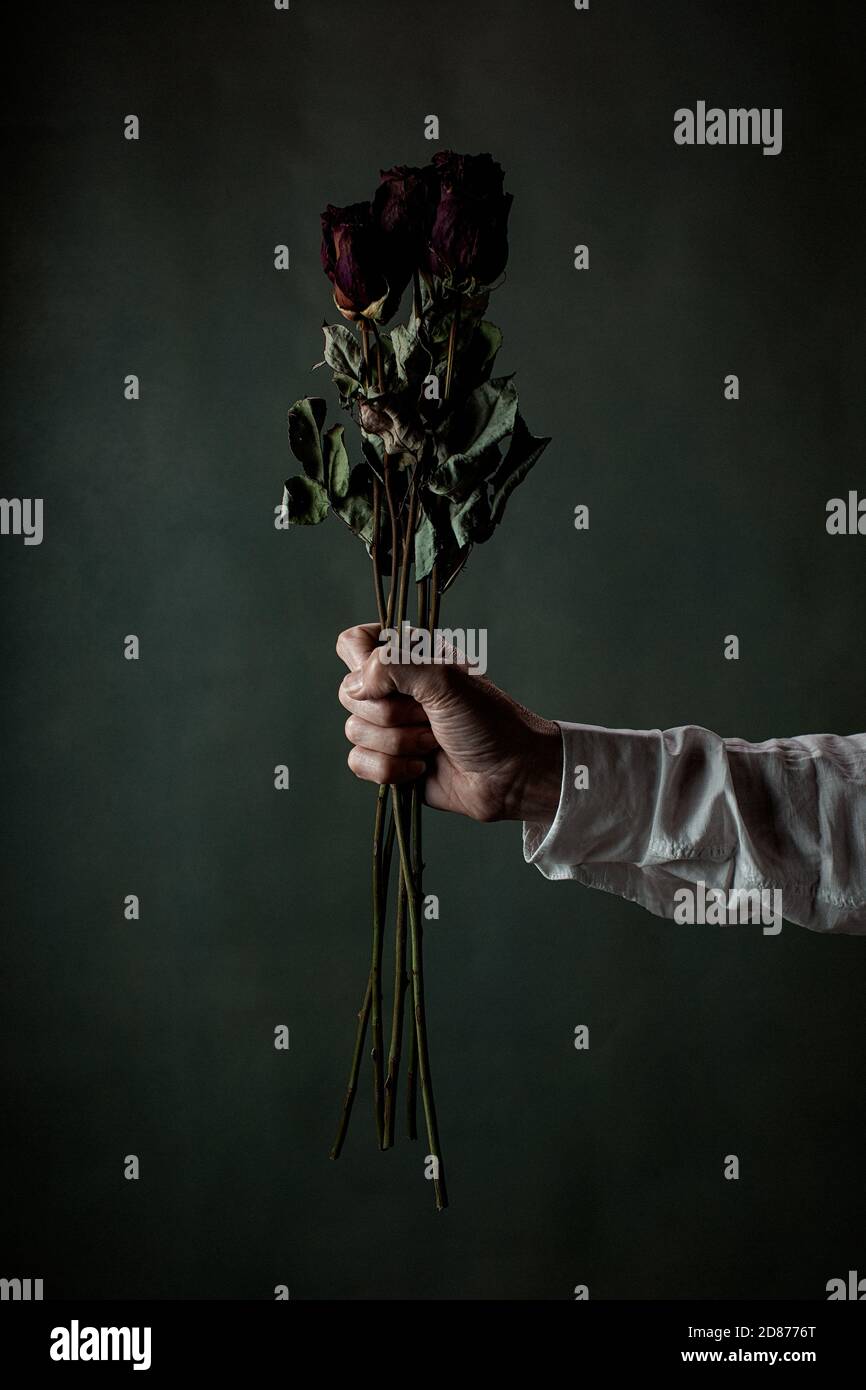 Low key roses hi-res stock photography and images - Alamy