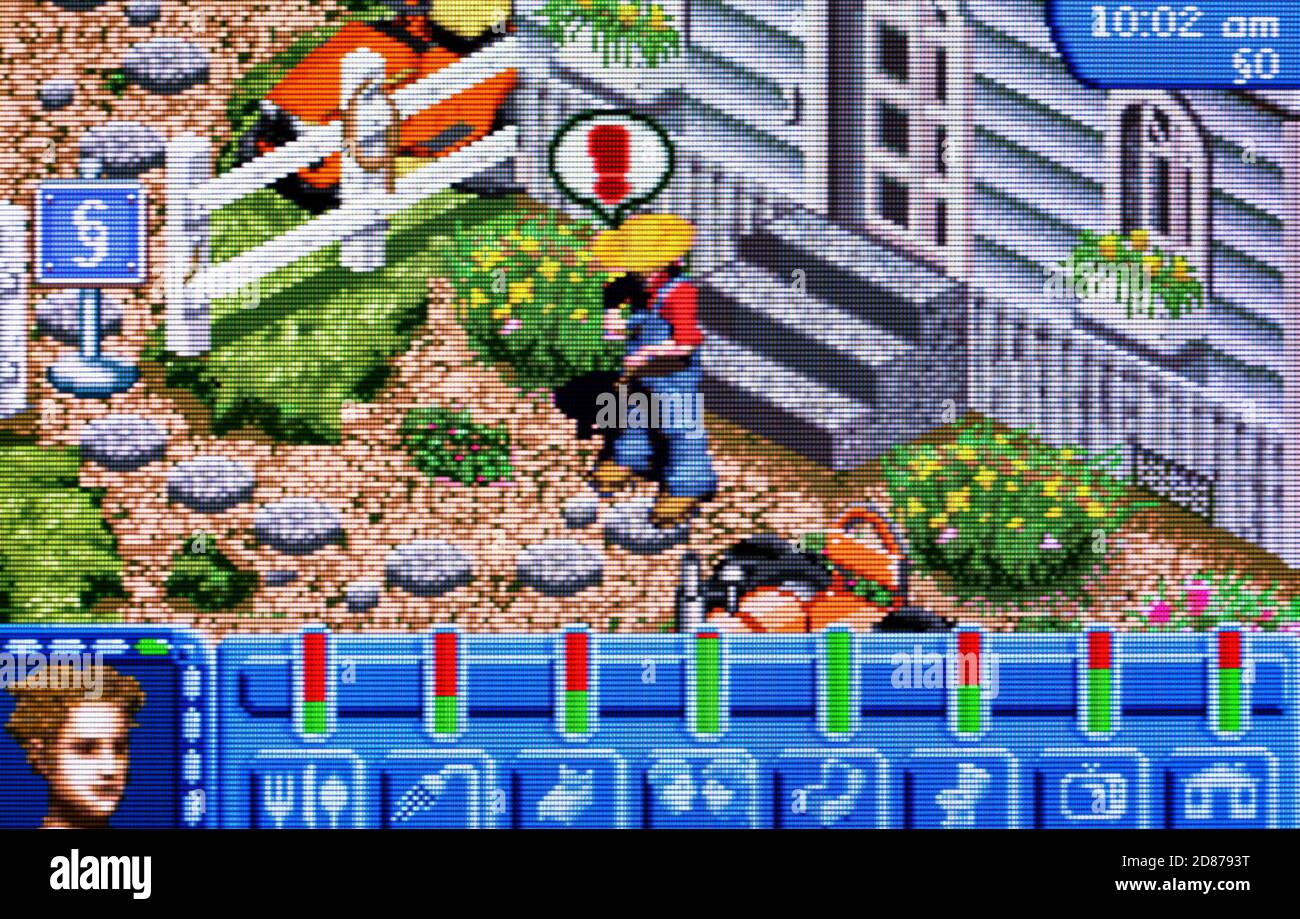 The Sims - Busting Out - Nintendo Game Boy Advance Videogame