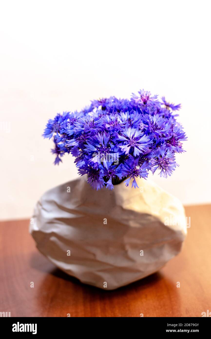 Beautiful bouquet of cornflowers on a white background Stock Photo