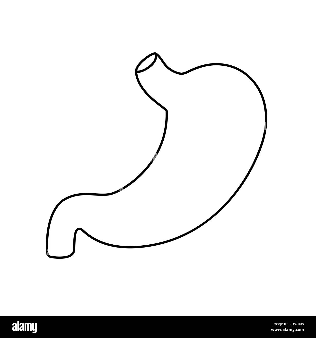 Human stomach flat style vector contour illustration. Internal organ ...