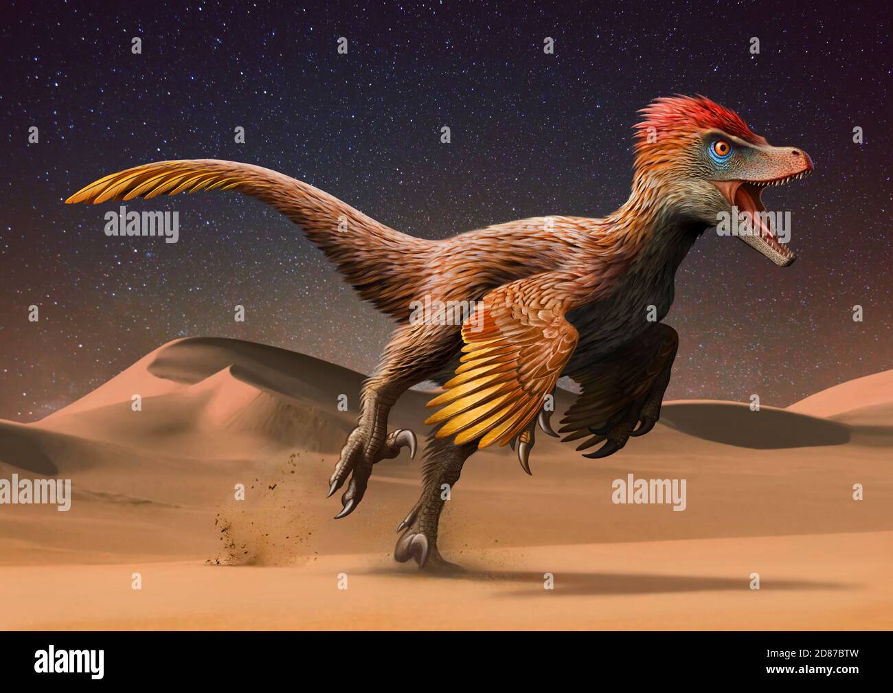 Velociraptor Running across at Mongolian Desert Stock Photo