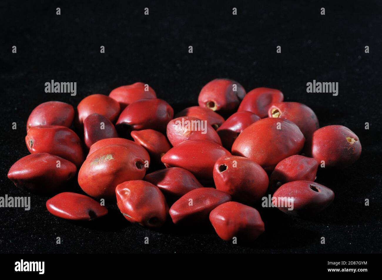 Colored Round Seeds Ready to make Handmade Jewelry Stock Photo