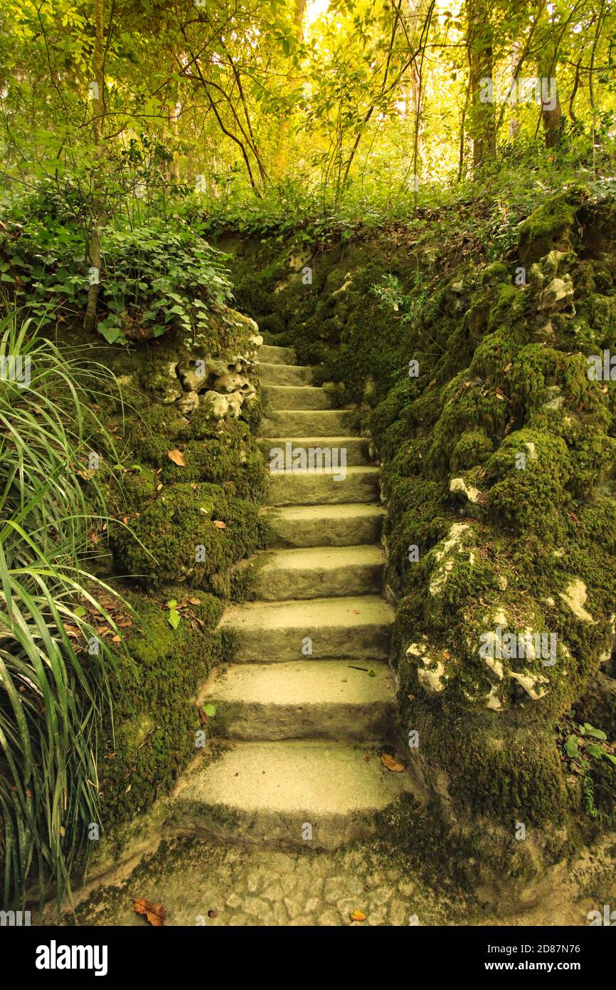 Old stone staircase in a garden Stock Photo