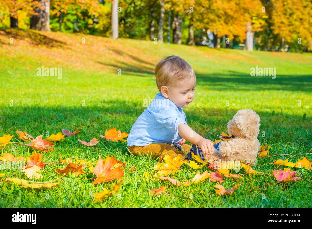 Small child playing with his teddy bear and colorful leaves in the park ...