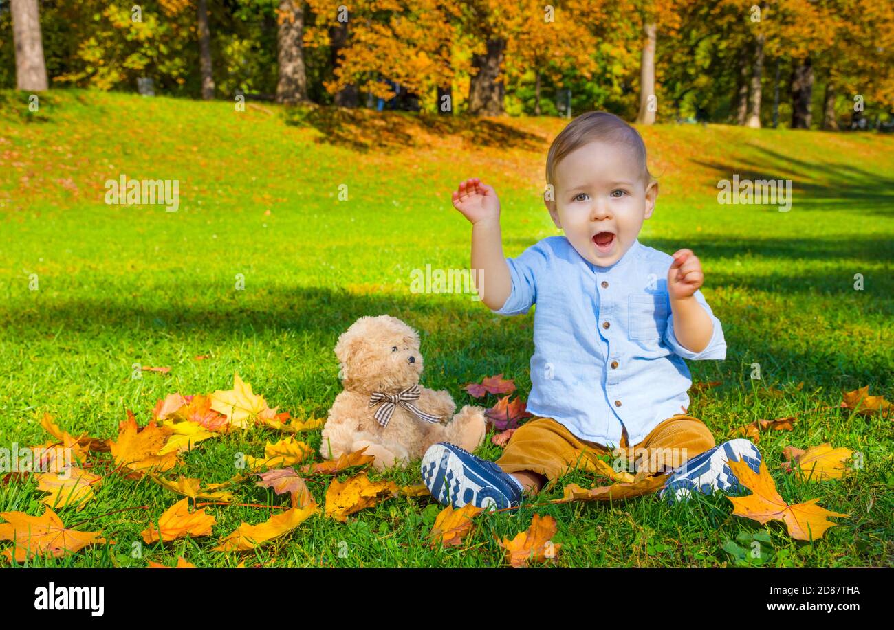Small child playing with his teddy bear and colorful leaves in the park ...