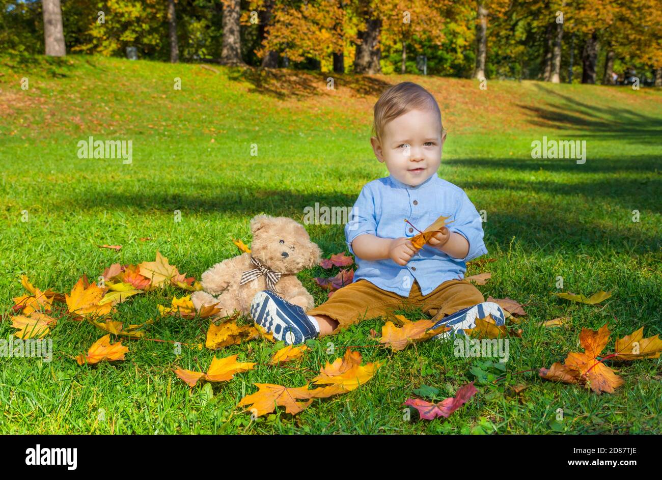 Small child playing with his teddy bear and colorful leaves in the park ...