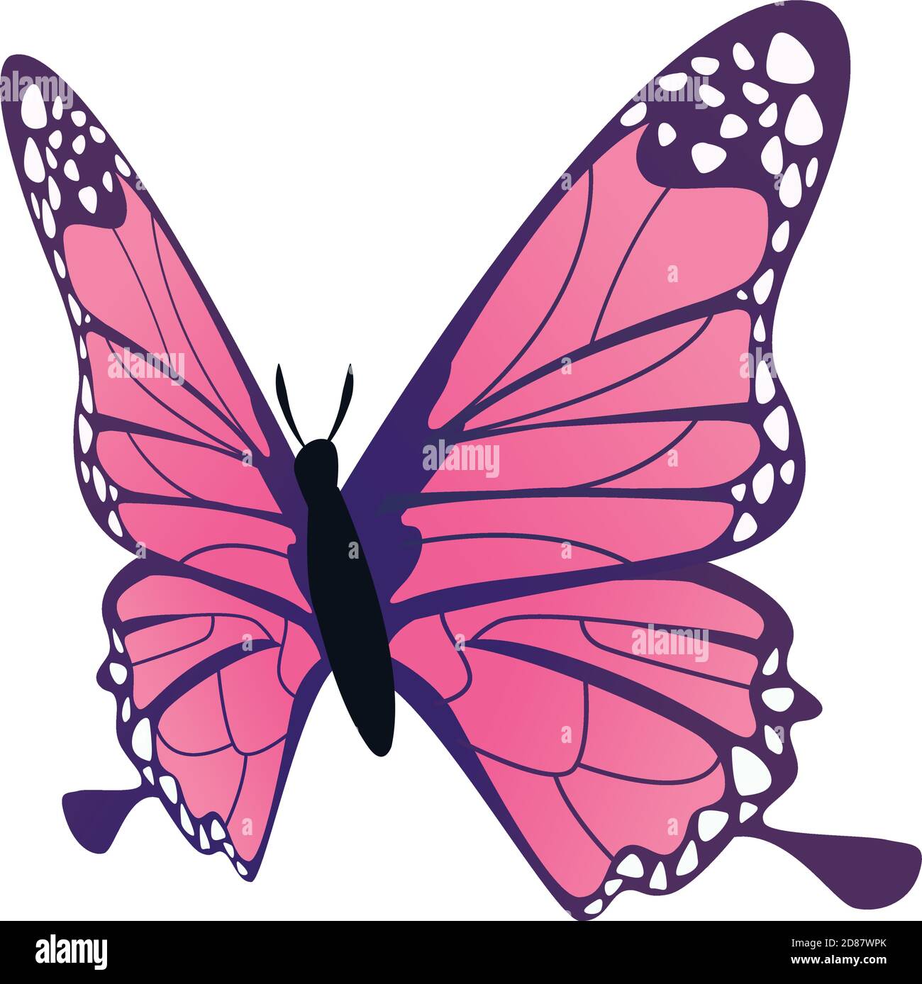 pink butterfly flying insect icon vector illustration design Stock ...