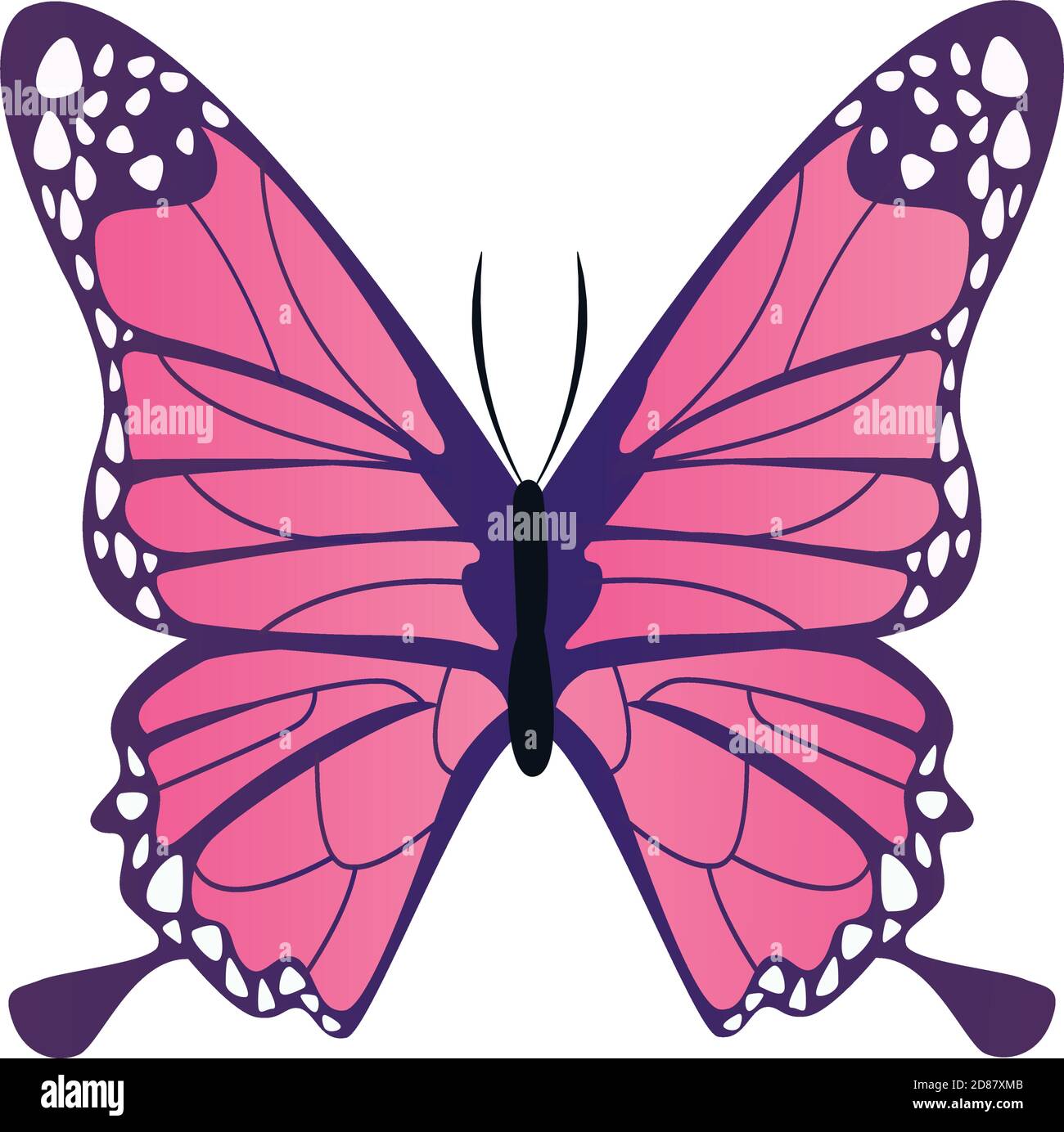 pink butterfly flying insect icon vector illustration design Stock ...