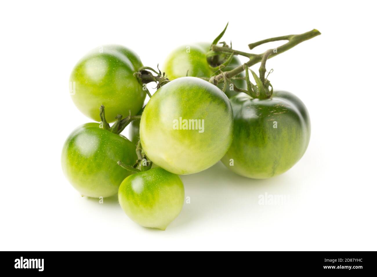 Bundle of unripe green tomatoes over white background, unripe tomatoes can be fried or used for relish, selective focus Stock Photo