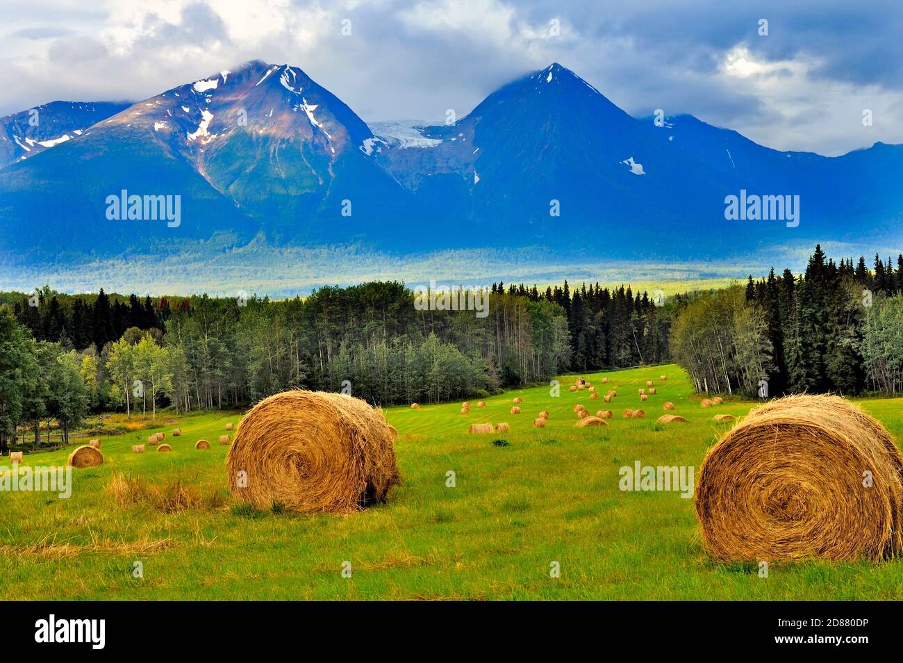 A landscape image of a farm field with a harvest of hay bales under the foot of Hudson Bay