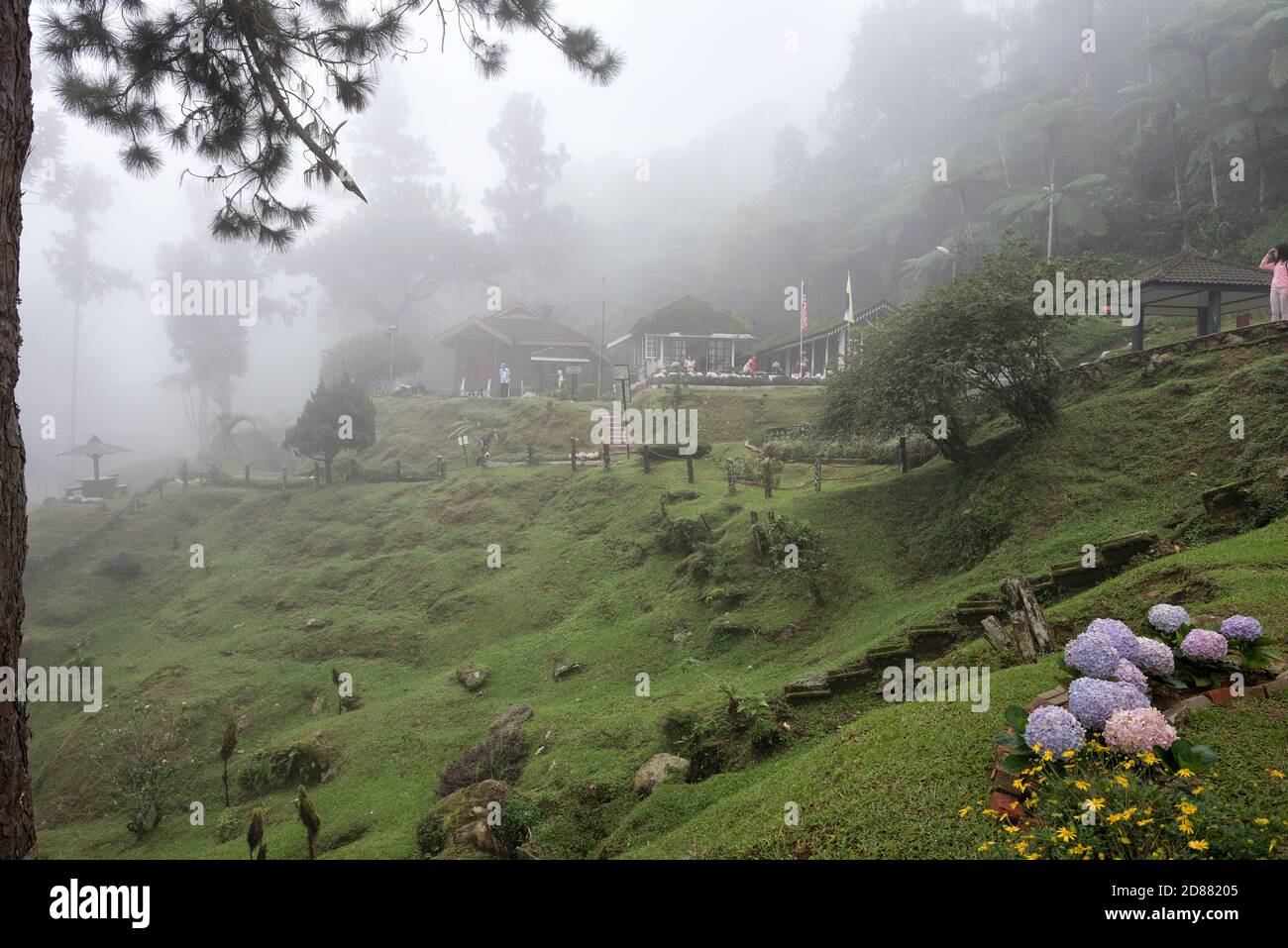 Bukit Larut, Taiping, Malaysia - 28 October, 2018: Bukit Larut is one of tourist attraction in Taiping can be reached by 4x4 ride with serene foggy en Stock Photo