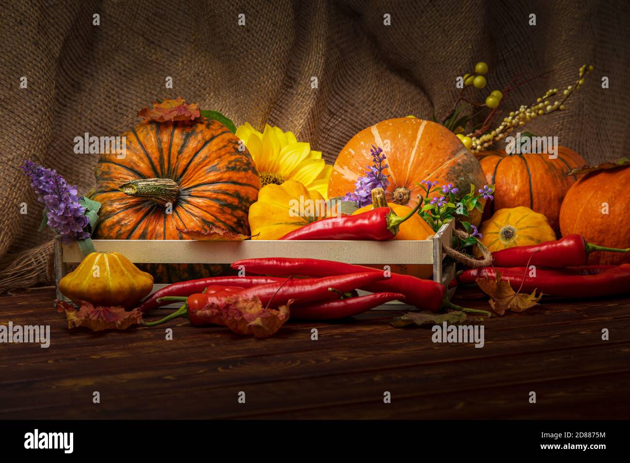 Abundance cornucopia consept with pumpkins, red hot chili peppers, purple flowers, fall  leaves on the rustic wooden background Stock Photo