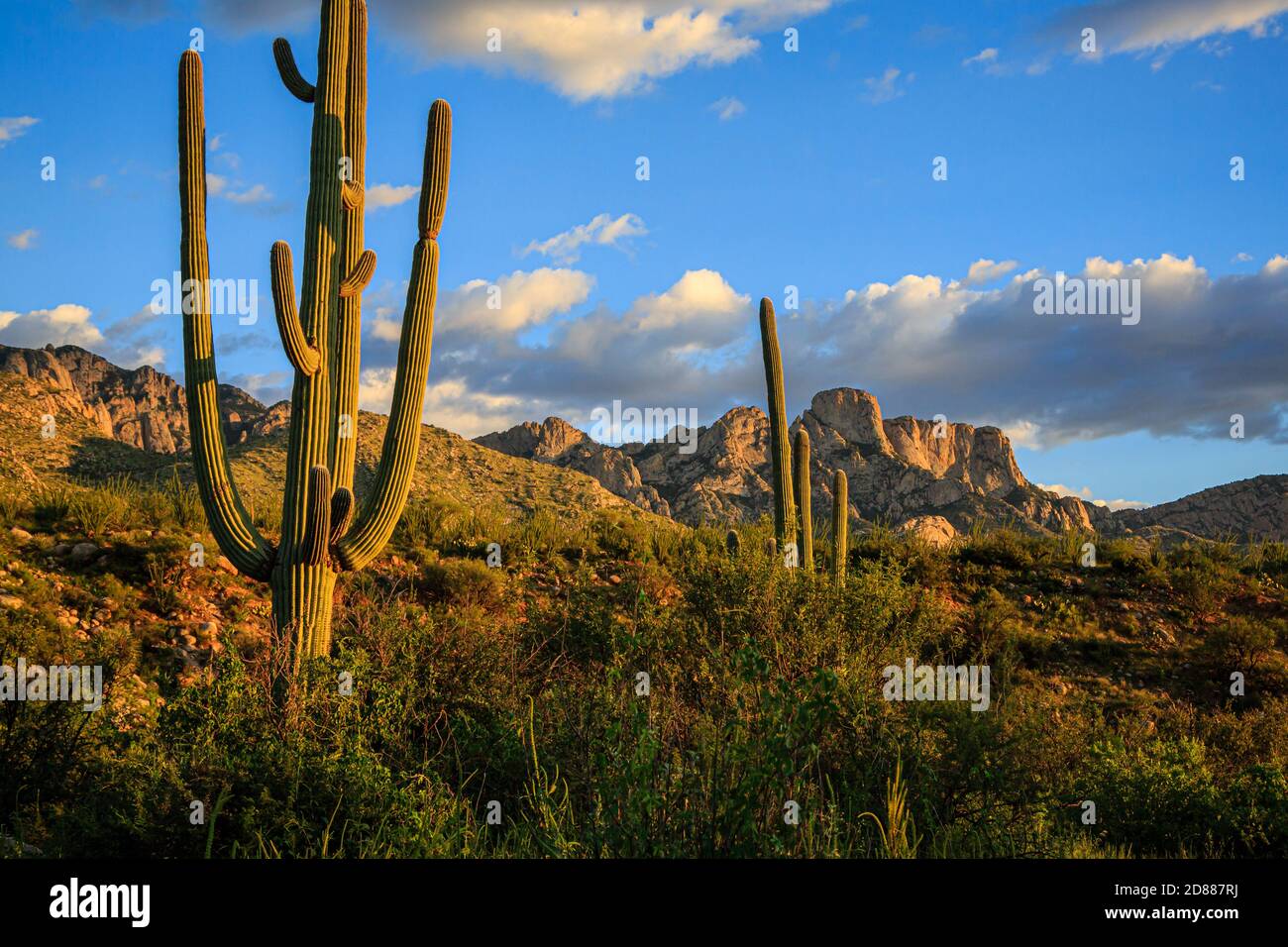 Late afternoon light creates beautiful shadows on Pusch Ridge and