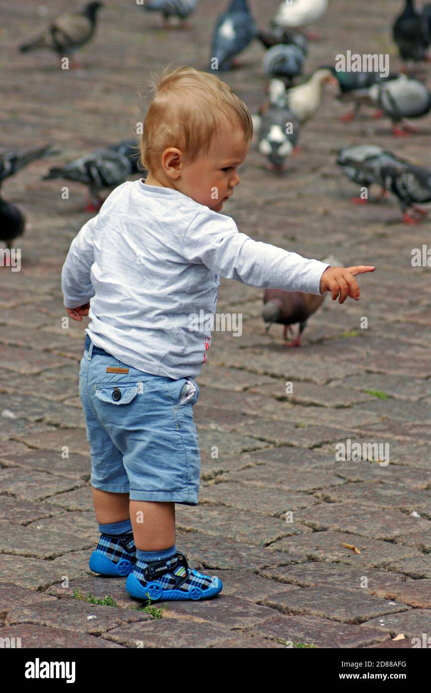 A child is intrigued by pigeons in the old town square of Poznan, Poland. Stock Photo