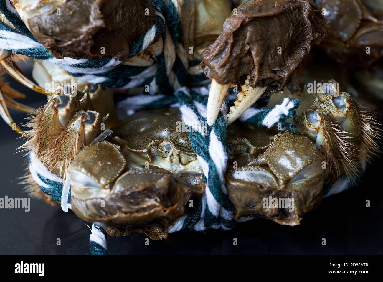 Close-up of plump Yangcheng Lake hairy crabs Stock Photo